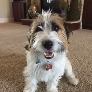 Meet your Posher, Nico